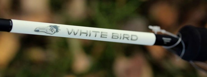 favorite_nowy_white_bird_main