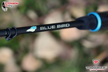 blue-bird-new-wedzisko-spinningowe-4