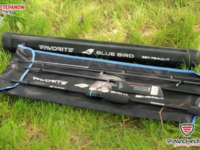 Wędzisko Spinningowe TRAVEL / Blue Bird Compact NEW / 2,40m/ 3-12g / BB1-804L-T
